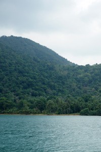 DSC05151